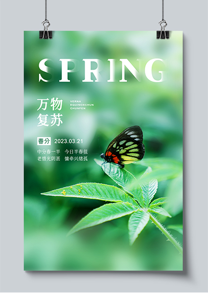 春分节气万物复苏绿叶蝴蝶清新海报设计素材