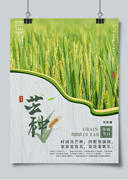 芒种节气绿色稻田清新高清海报设计素材