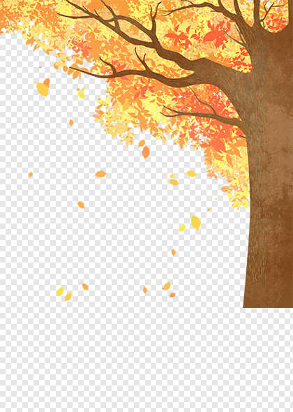 秋天秋分立秋节气黄色落叶枫叶元素素材