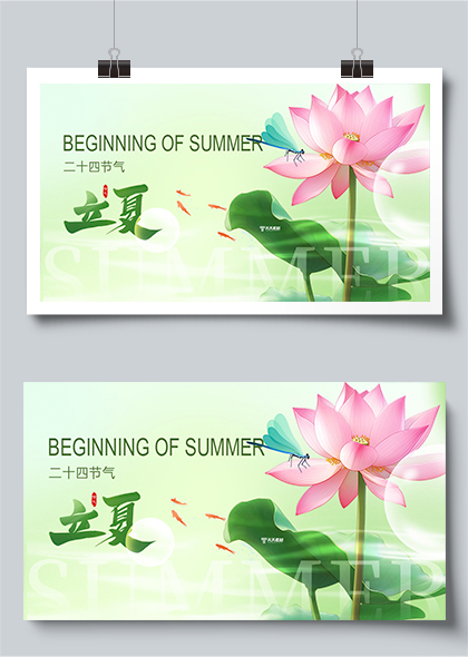 荷花蜻蜓插画二十四节气立夏清新节气宣传展板