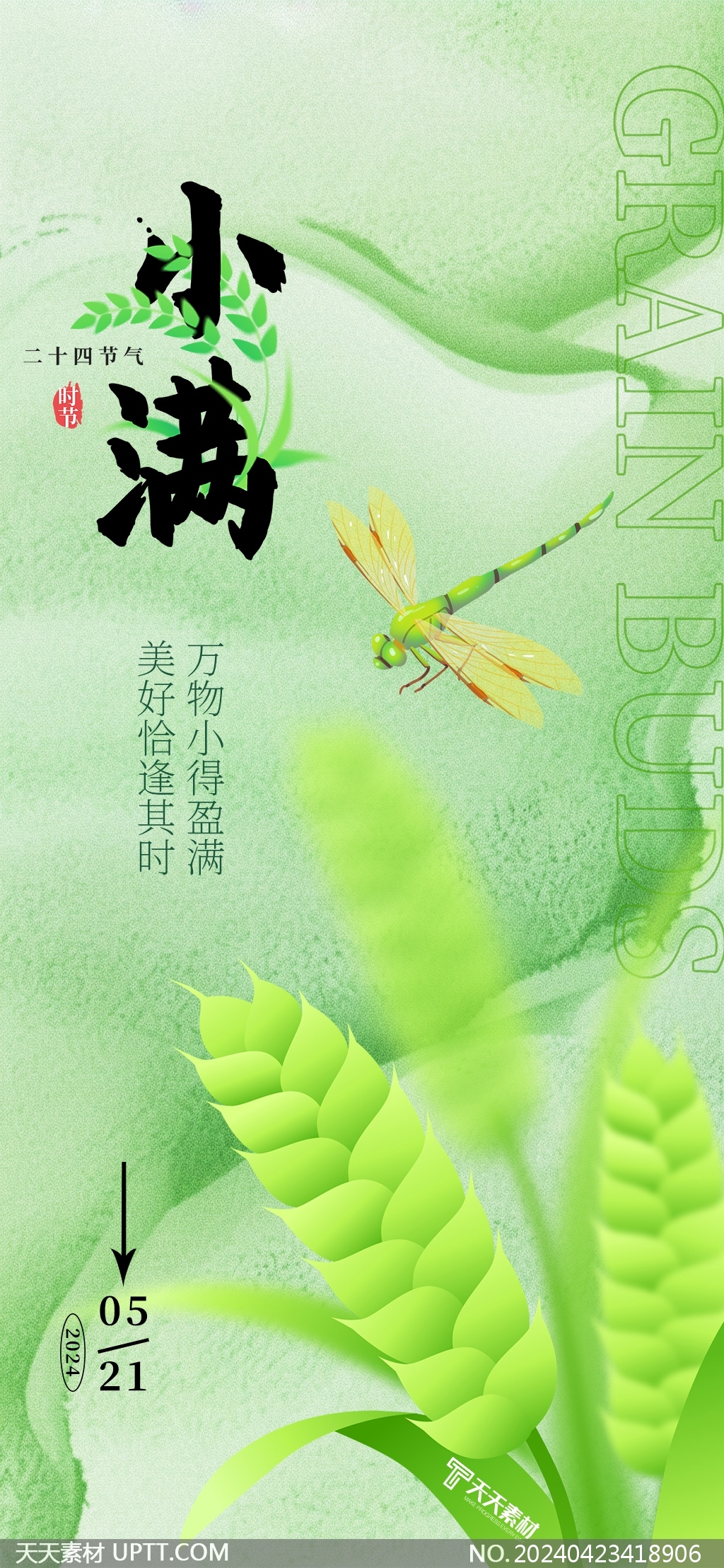 绿色蜻蜓二十四节气小满节气手机宣传海报
