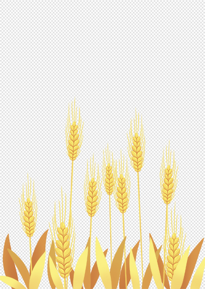 金黄色成熟麦子免抠元素素材