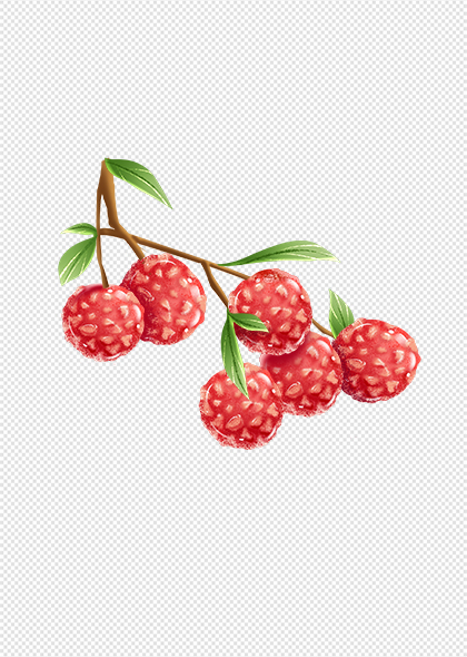 荔枝插画夏天水果红色桂味荔枝免抠元素素材