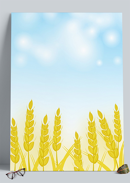 手绘麦穗丰收季节小满节气海报背景
