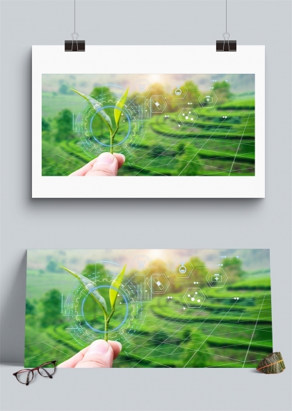 科技农业植物生长监测未来感展板背景