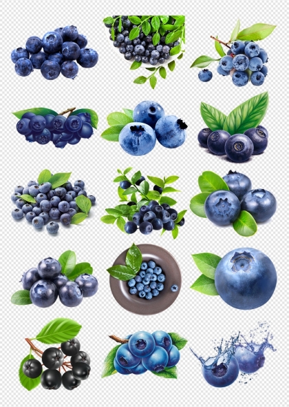 新鲜蓝莓果实高清蓝莓PNG免抠素材