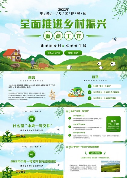 中央一号文件解读乡村振兴重点工作PPT模板
