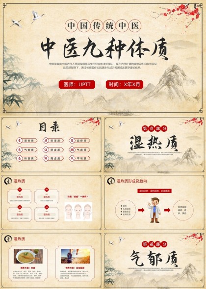 中医九种体质详解与调理方法PPT模板