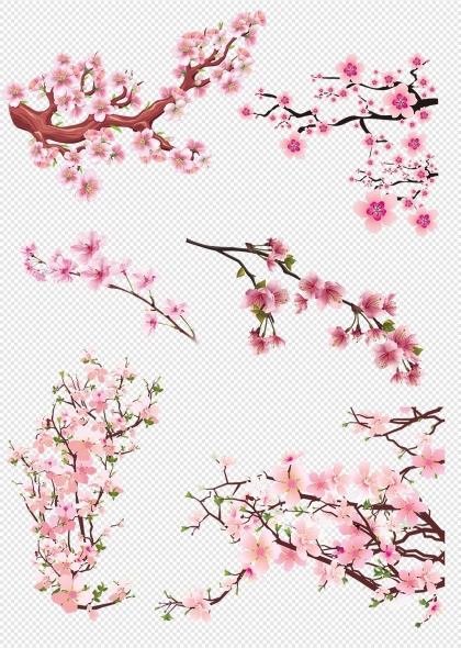 樱花树枝粉色花朵春天装饰元素