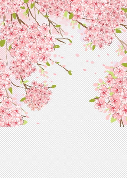 樱花树枝粉色花瓣春天浪漫元素