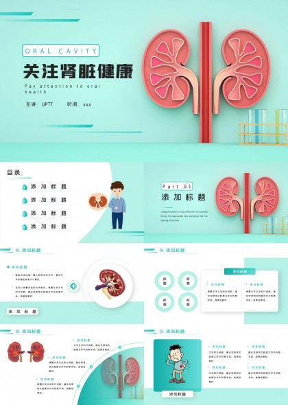 关注肾脏健康知识科普教育PPT模板