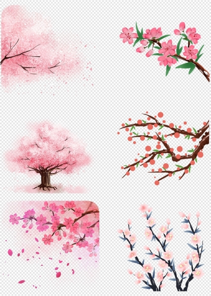 樱花树与花瓣春天浪漫元素