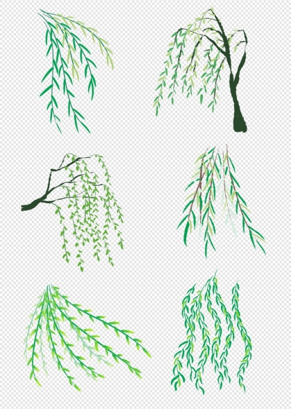 柳树枝条自然生态绿色植物免抠元素