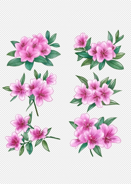 粉色杜鹃花与绿叶自然清新花卉元素