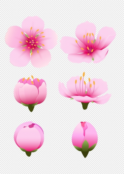 粉色桃花与花蕾春天花朵元素