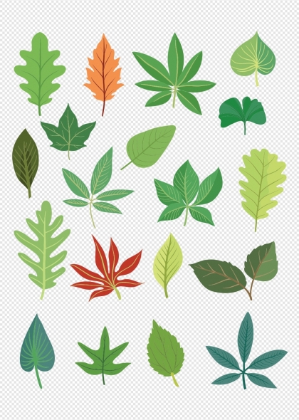 多彩树叶自然生态植物插画元素