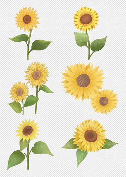 向日葵花卉花朵免抠插画元素