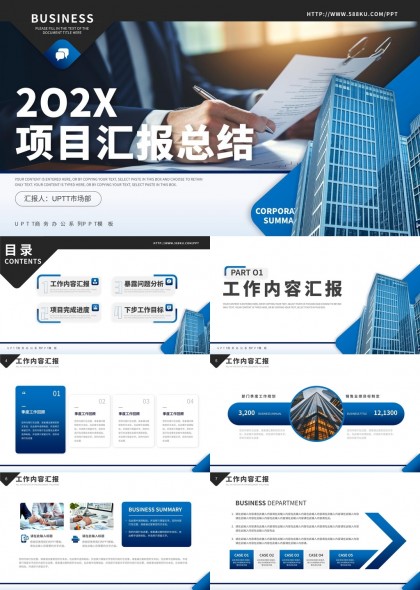 202X項(xiàng)目匯報(bào)總結(jié)商務(wù)報(bào)告PPT模板