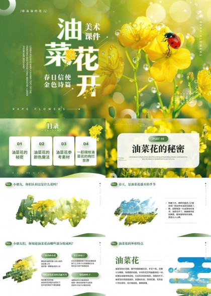 油菜花的秘密与色彩魔法PPT模板