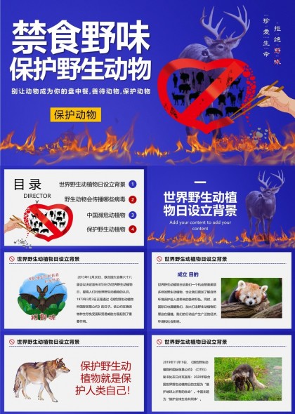 禁食野味保護野生動物宣傳PPT模板