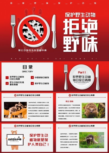 保護野生動物拒絕野味宣傳PPT模板