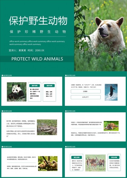 保護野生動物宣傳與教育PPT模板
