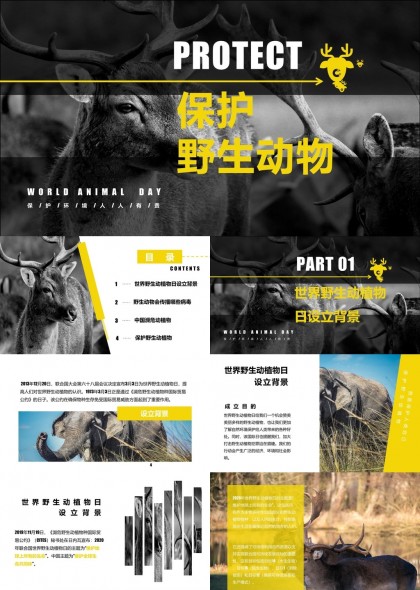 世界野生动物日保护措施与病毒传播知识PPT模板
