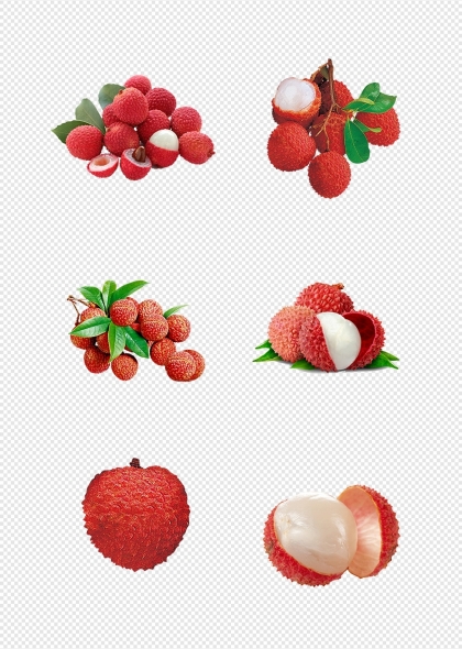 荔枝果實與綠葉組合夏季水果元素