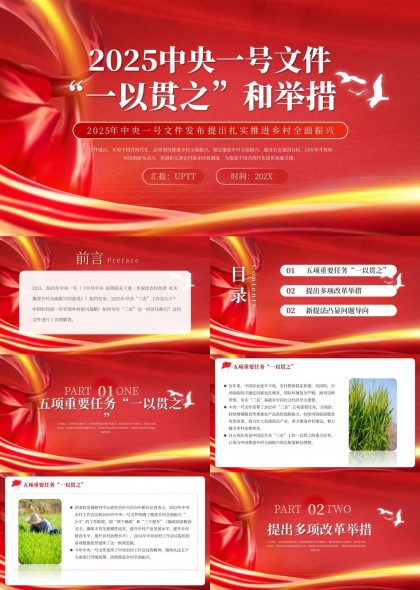 2025中央一号文件一以贯之和举措乡村振兴战略PPT模板