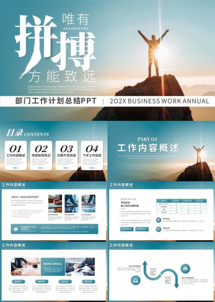 202X年度部门工作总结与规划PPT模板