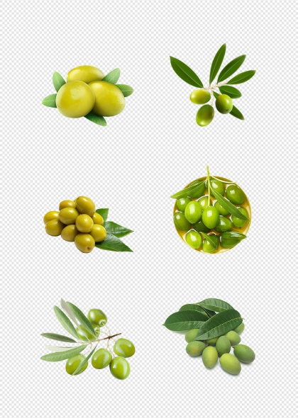 新鲜橄榄高清水果元素插画设计素材集