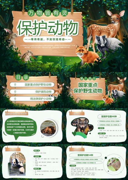 保护动物科普知识教育宣传PPT模板