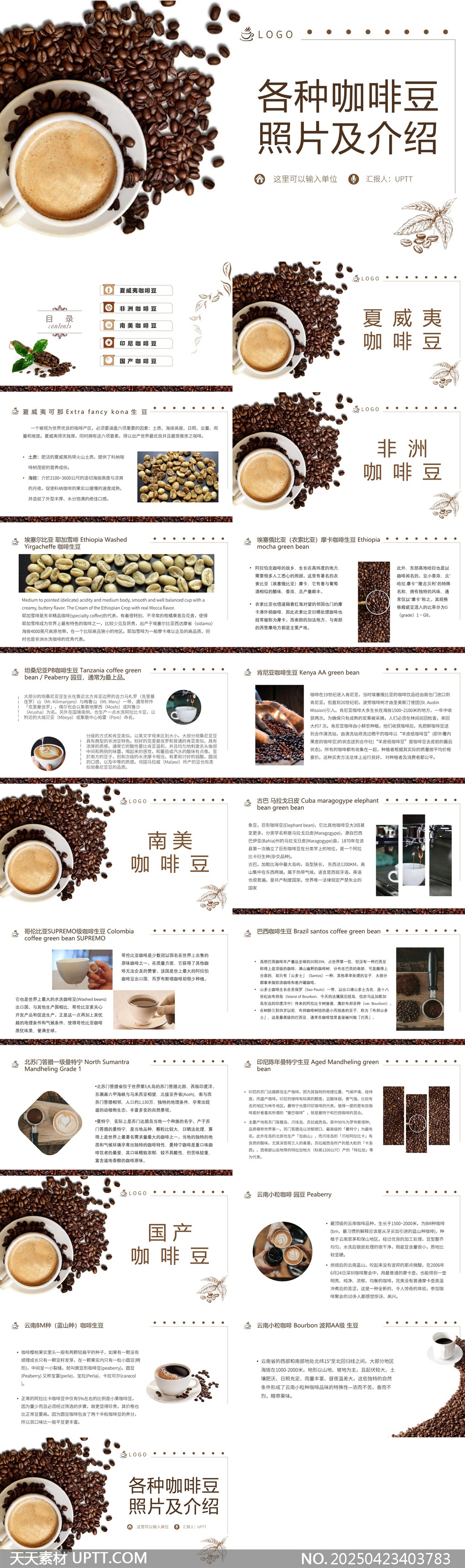 全球咖啡豆种类介绍及图片展示PPT模板-天天素材库PPT模板