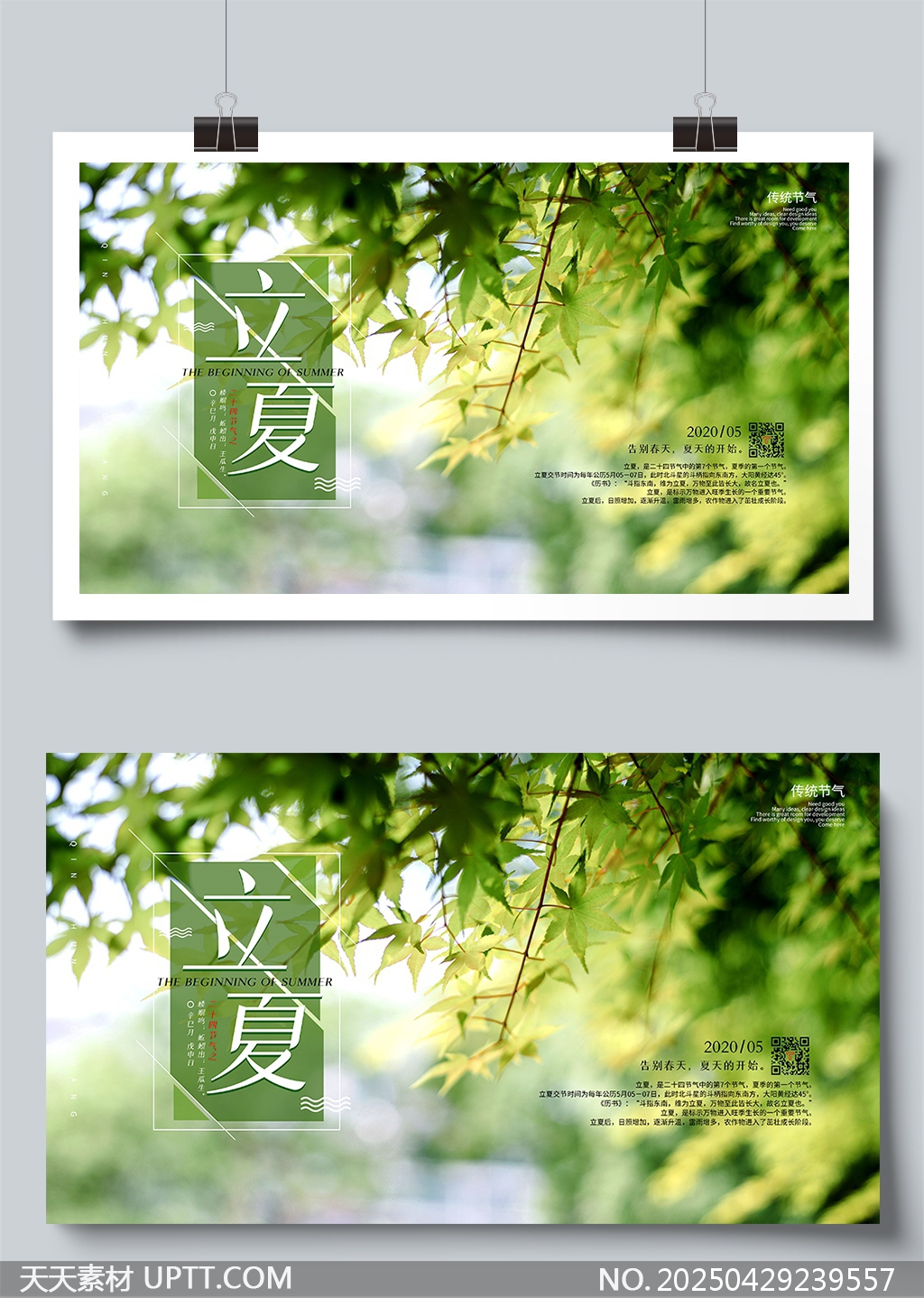 綠色清新二十四節(jié)氣立夏節(jié)氣宣傳展板