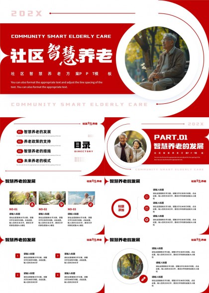 社區(qū)智慧養(yǎng)老方案發(fā)展措施未來(lái)模式PPT模板