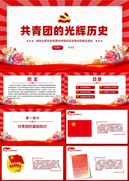 共青团光辉历史与组织原则PPT模板