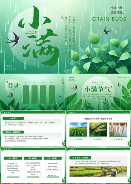 小满节气知识介绍与习俗文化PPT模板