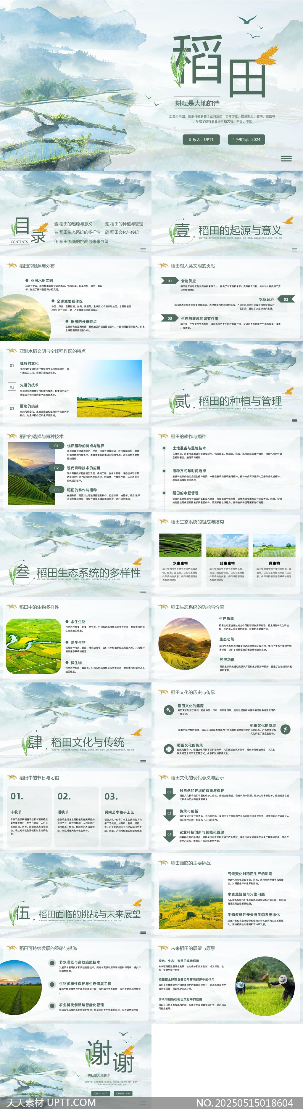 稻田文化與生態(tài)多樣性研究PPT模板