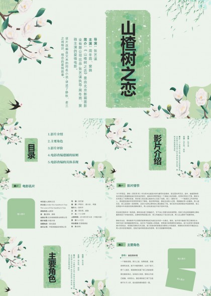 山楂樹(shù)之戀電影分析與改編原則PPT模板
