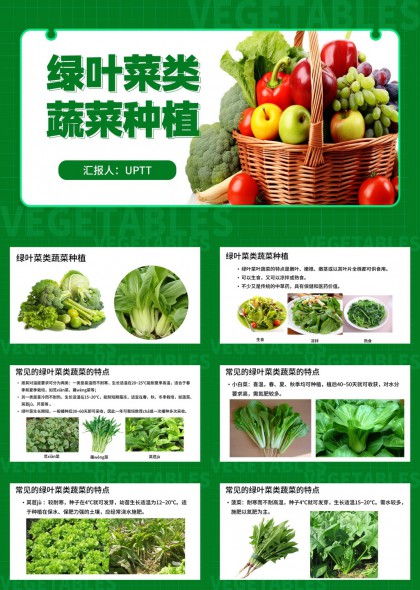 绿叶菜类蔬菜种植知识介绍PPT模板