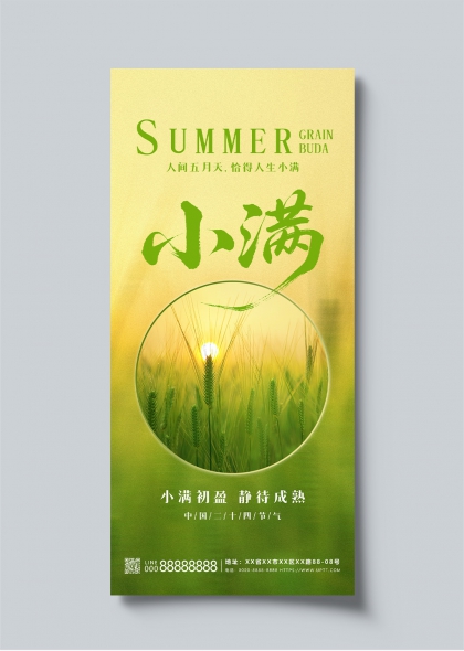 小满时节麦田丰收二十四节气宣传海报