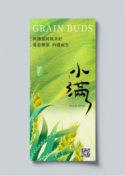 小满节气清新绿意麦穗插画海报