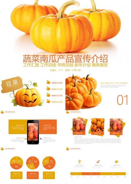南瓜产品宣传介绍工作汇报年PPT模板