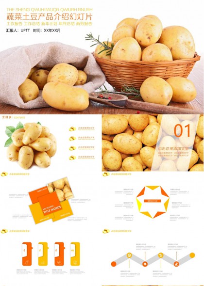 蔬菜土豆产品介绍商务报告PPT模板