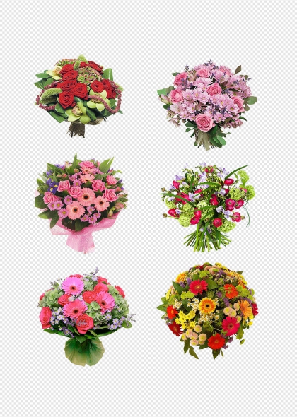 毕业季花束康乃馨花卉装饰设计元素集