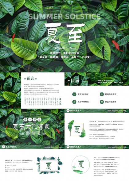夏至节气文化民俗与传说故事PPT模板
