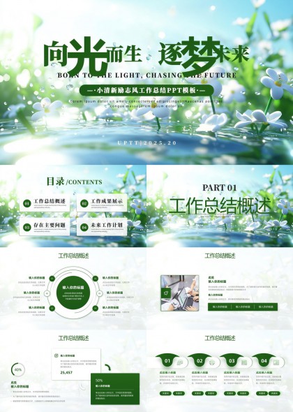 向光而生逐梦未来清新励志风工作总结PPT模板