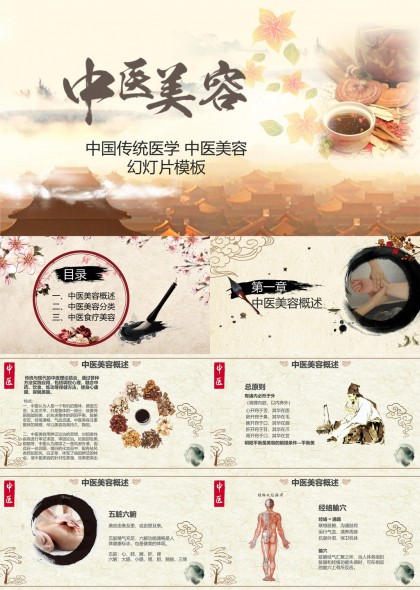 中医美容概述与方法详解PPT模板