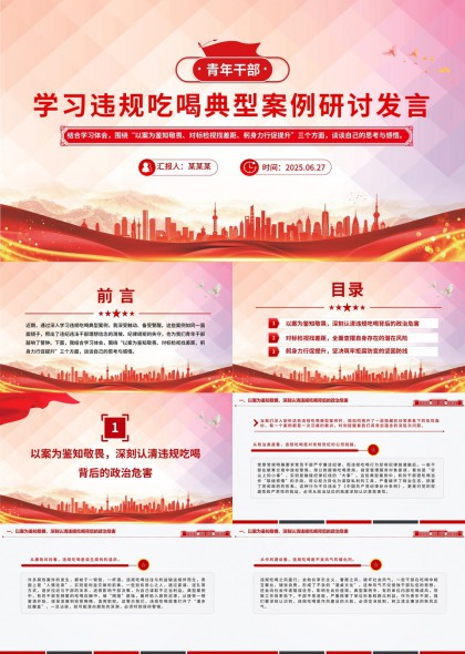 青年干部学习违规吃喝典型案例研讨发言PPT模板