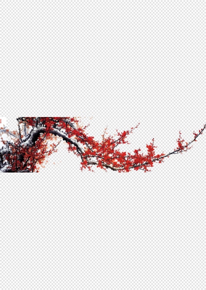 梅花枝头绽放冬季花卉免抠插画元素